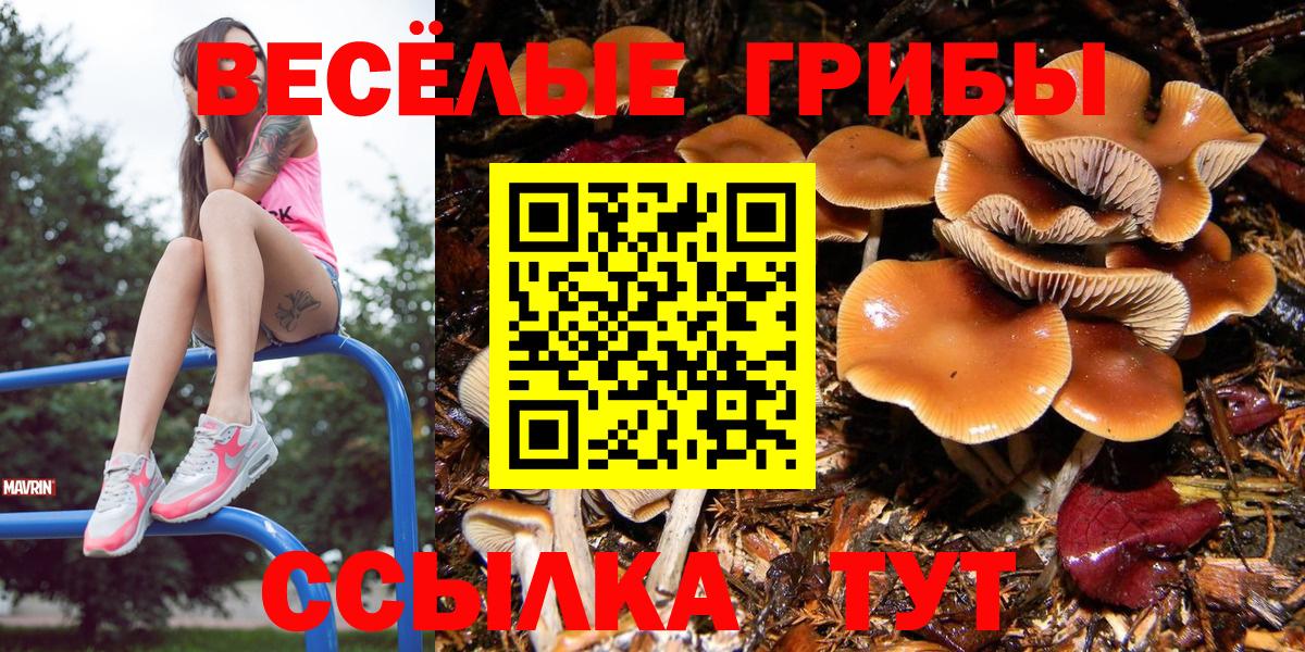 Галлюциногенные грибы Psilocybe  Вход с VPN  Чебоксары  Галлюциногенные грибы Cubensis 